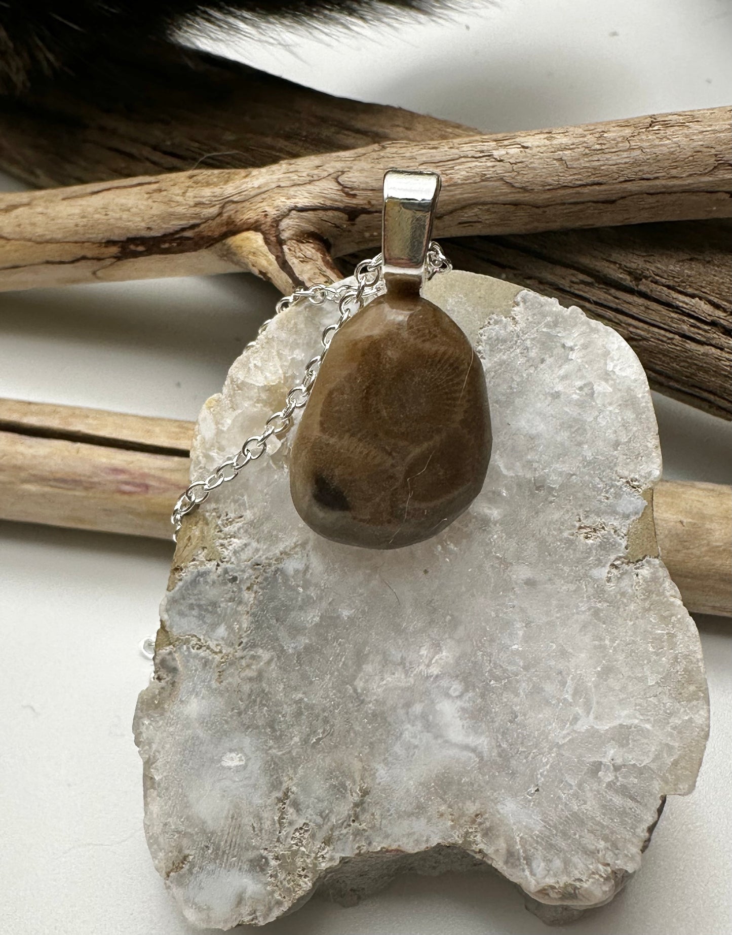 Petite Petoskey Stone necklace