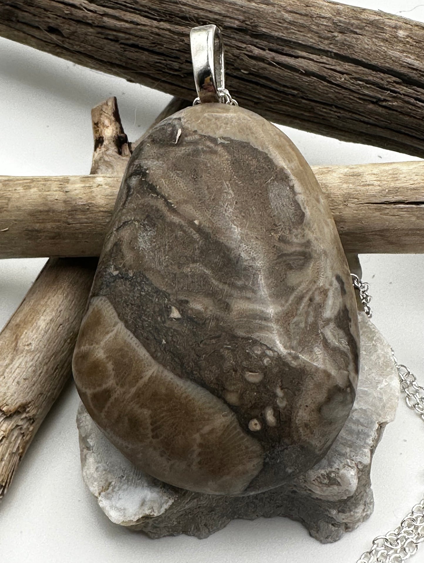 Large Petoskey stone necklace