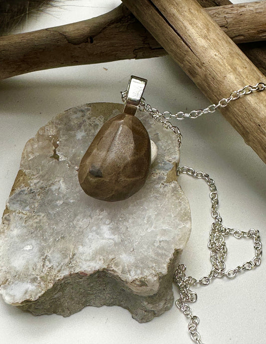 Petite Petoskey Stone necklace
