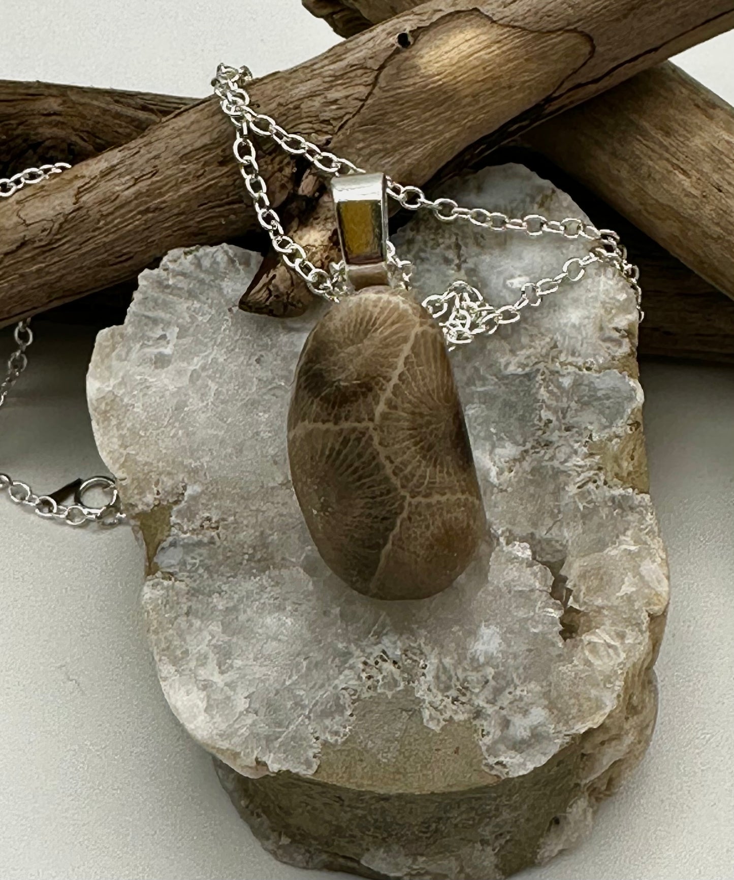 Petoskey bean shaped stone necklace