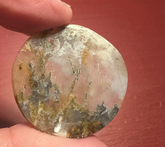 Round moss agate with plumes cabochon