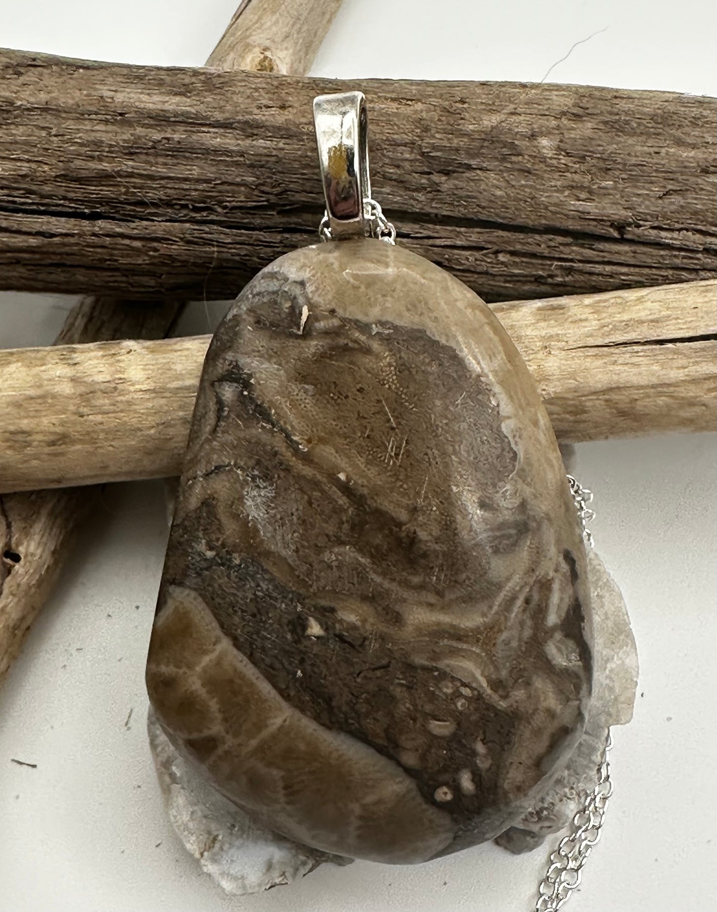 Large Petoskey stone necklace