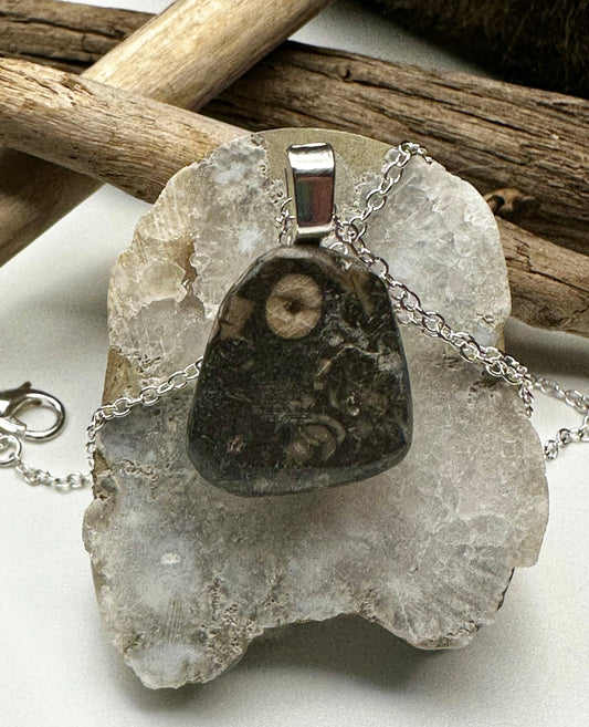 Fossil soup stone pendant