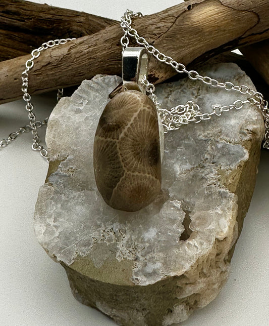 Petoskey bean shaped stone necklace